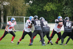 IMG 3038